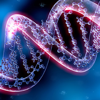 Genetics