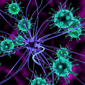 Immunology